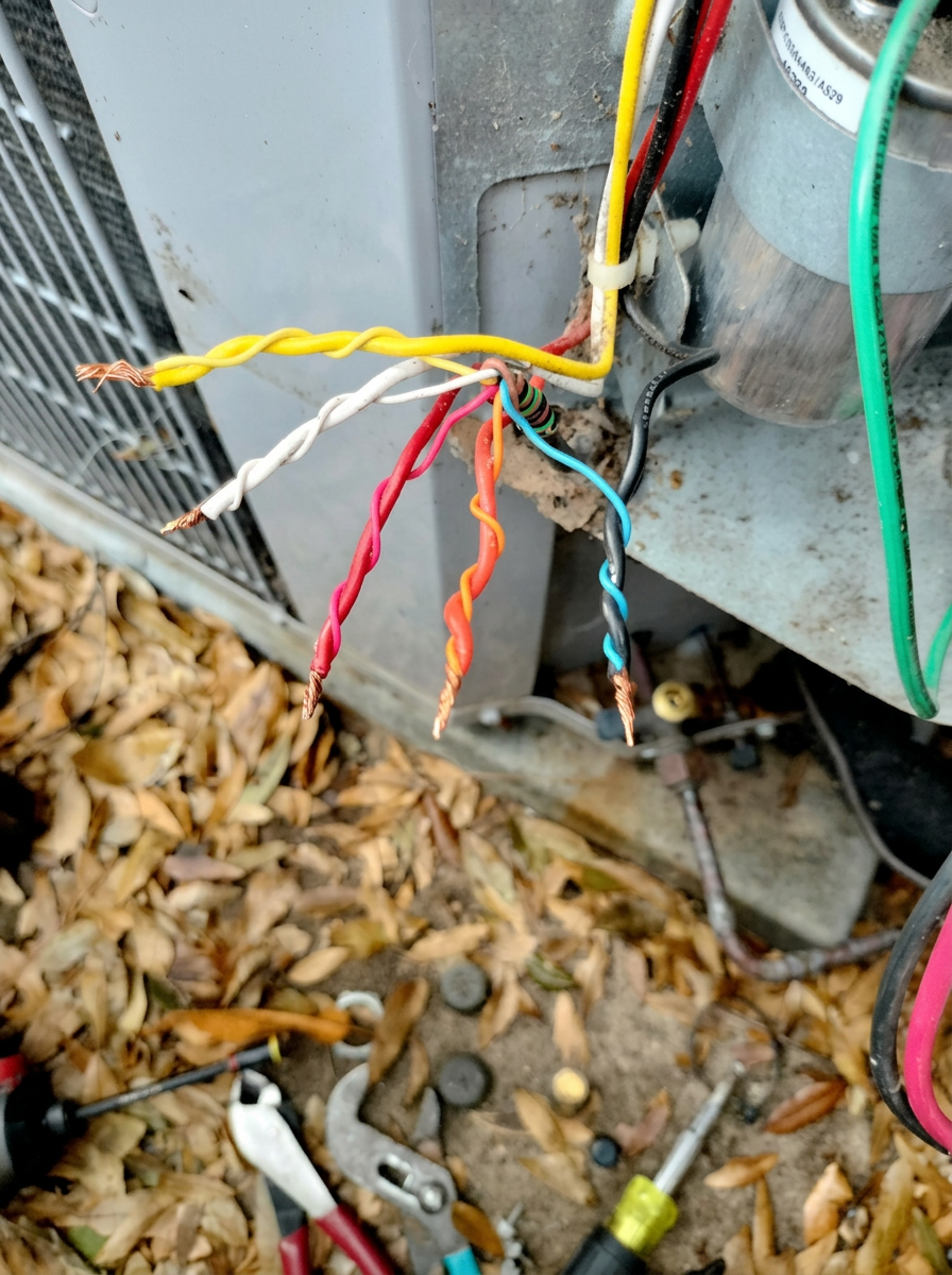 Chewed Wiring Repair